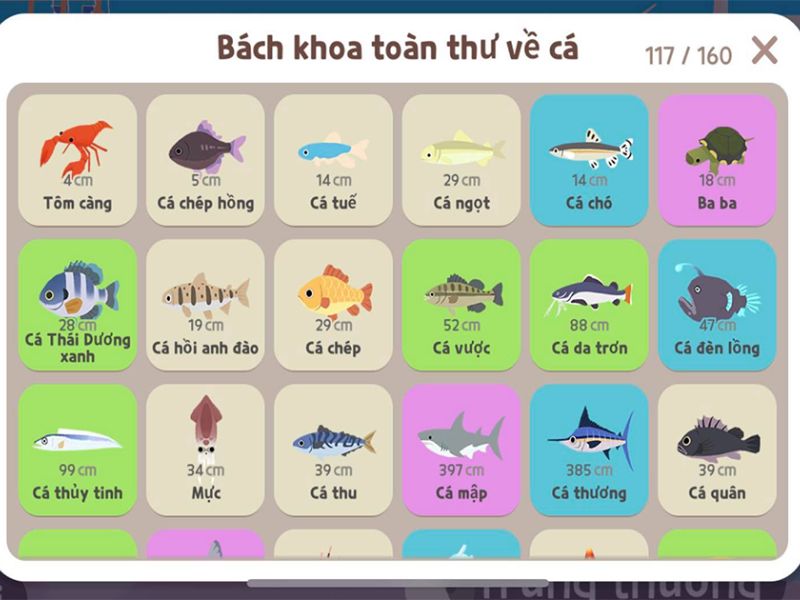 Tổng hợp các loại cá, giờ câu cá trong trong Play Together