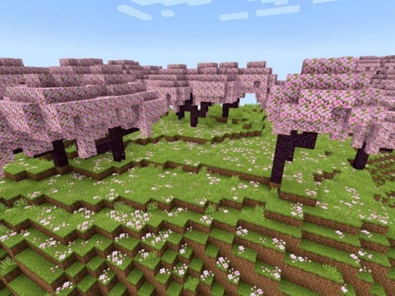 Rừng anh đào trong Minecraft 1.20 APK Tiếng Việt 