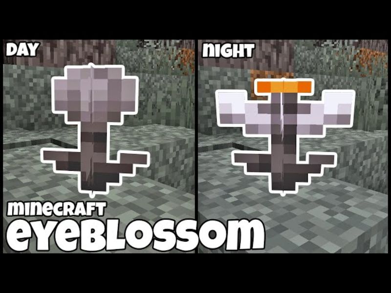 Minecraft 1.21.60 Apk Hoa Phát Sáng Eyeblossom