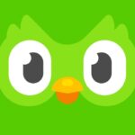 Tải Duolingo Apk v6.65.4 Bản Mới Nhất Miễn Phí Dành Cho Android
