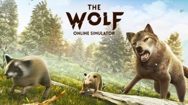 Giới Thiệu Chung Về Hack The Wolf